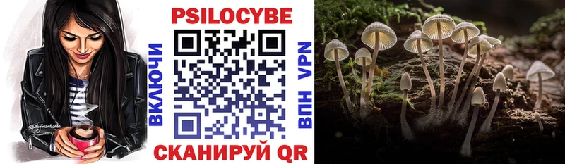 Галлюциногенные грибы Psilocybine cubensis хочу Фурманов
